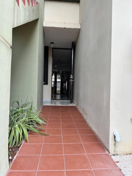 Entire Beach Apartment With View To El Yunque National Rain Forest Rio Grande Exterior foto